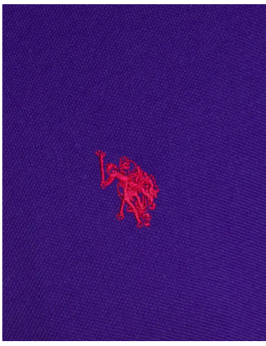 polo liso purple Us Polo assn