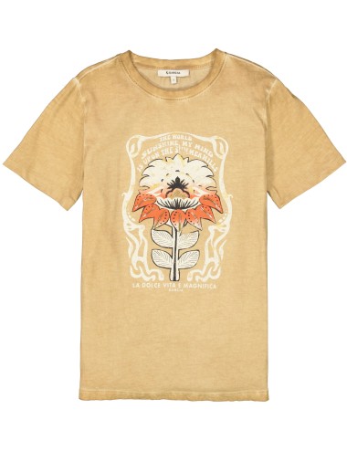 Camiseta safari gold dolce...