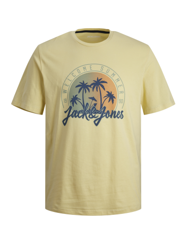 jjsummer vibe tee crew neck...