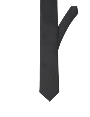 Jacsolid tie Jack Jones