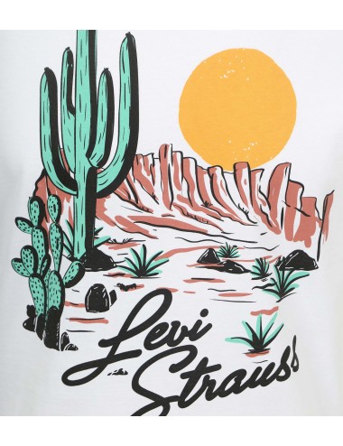 levis graphic crewneck tee...