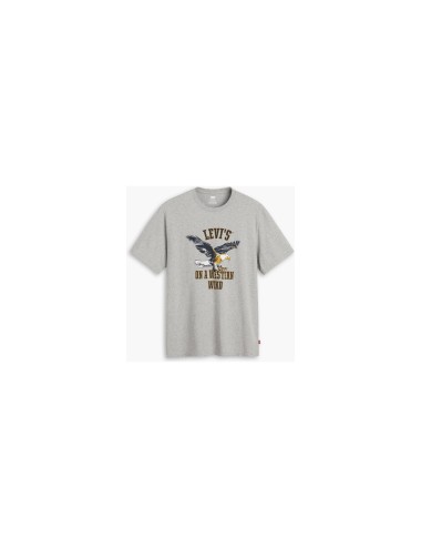 Levis relaxed fit tee...